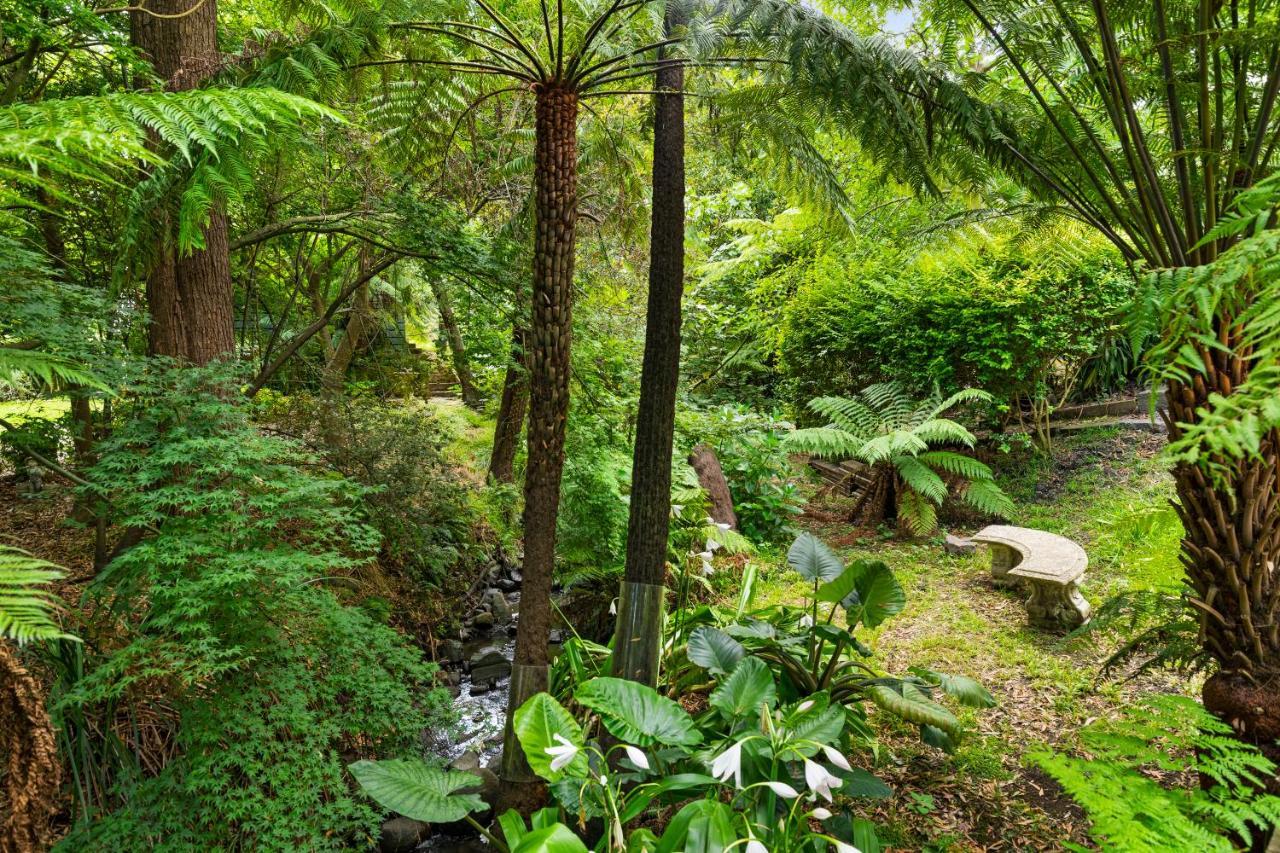 Paddys Creek Retreat Vila Upwey Exterior foto