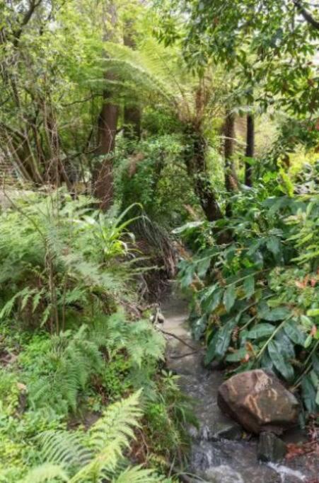 Paddys Creek Retreat Vila Upwey Exterior foto