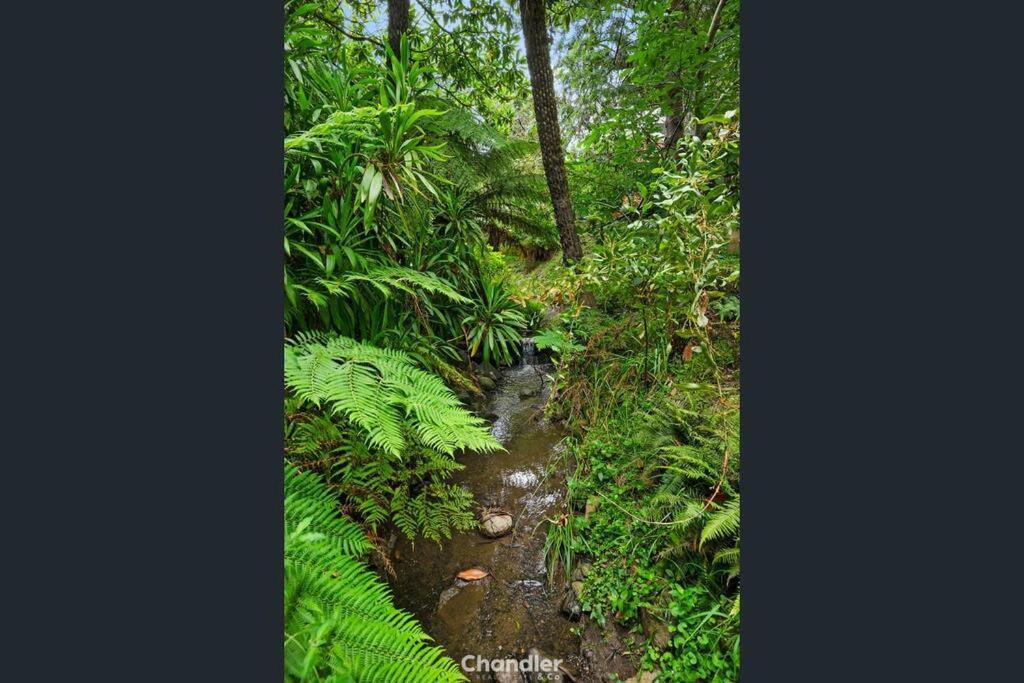Paddys Creek Retreat Vila Upwey Exterior foto